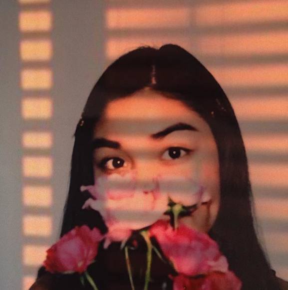 Meet your Posher, Sophia - Picture 1 of 1